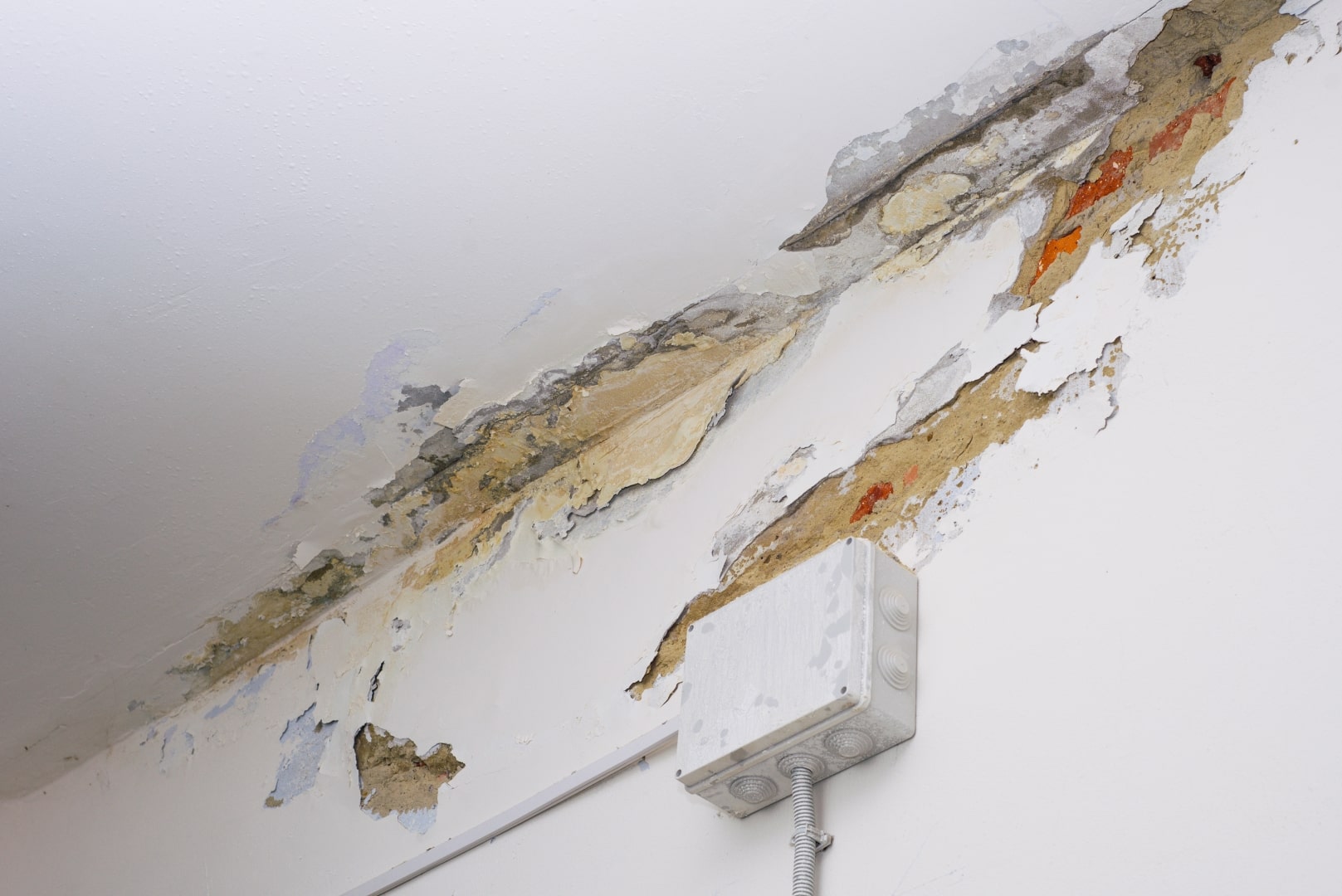 water leaking drywall damage repair services